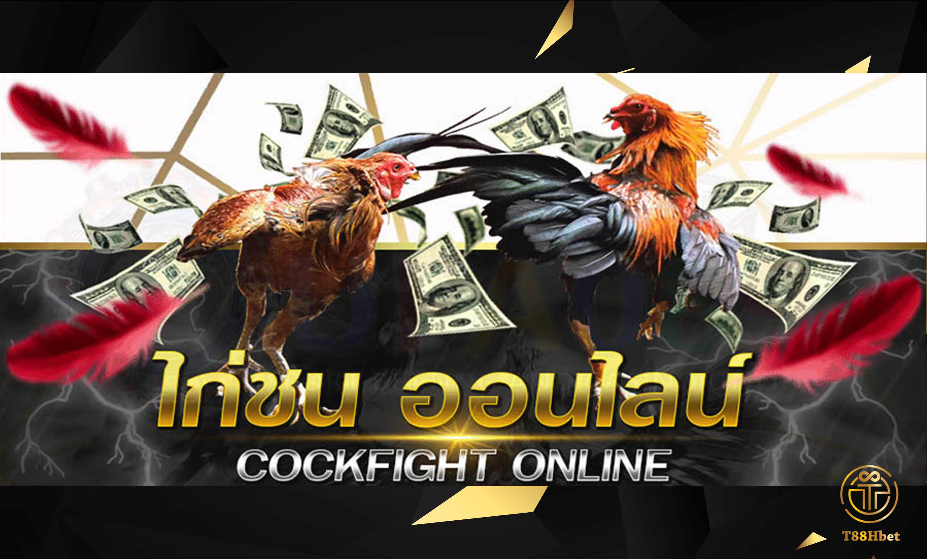 เกมไก่ชนออนไลน์ พนันออนไลน์ ปี 2020