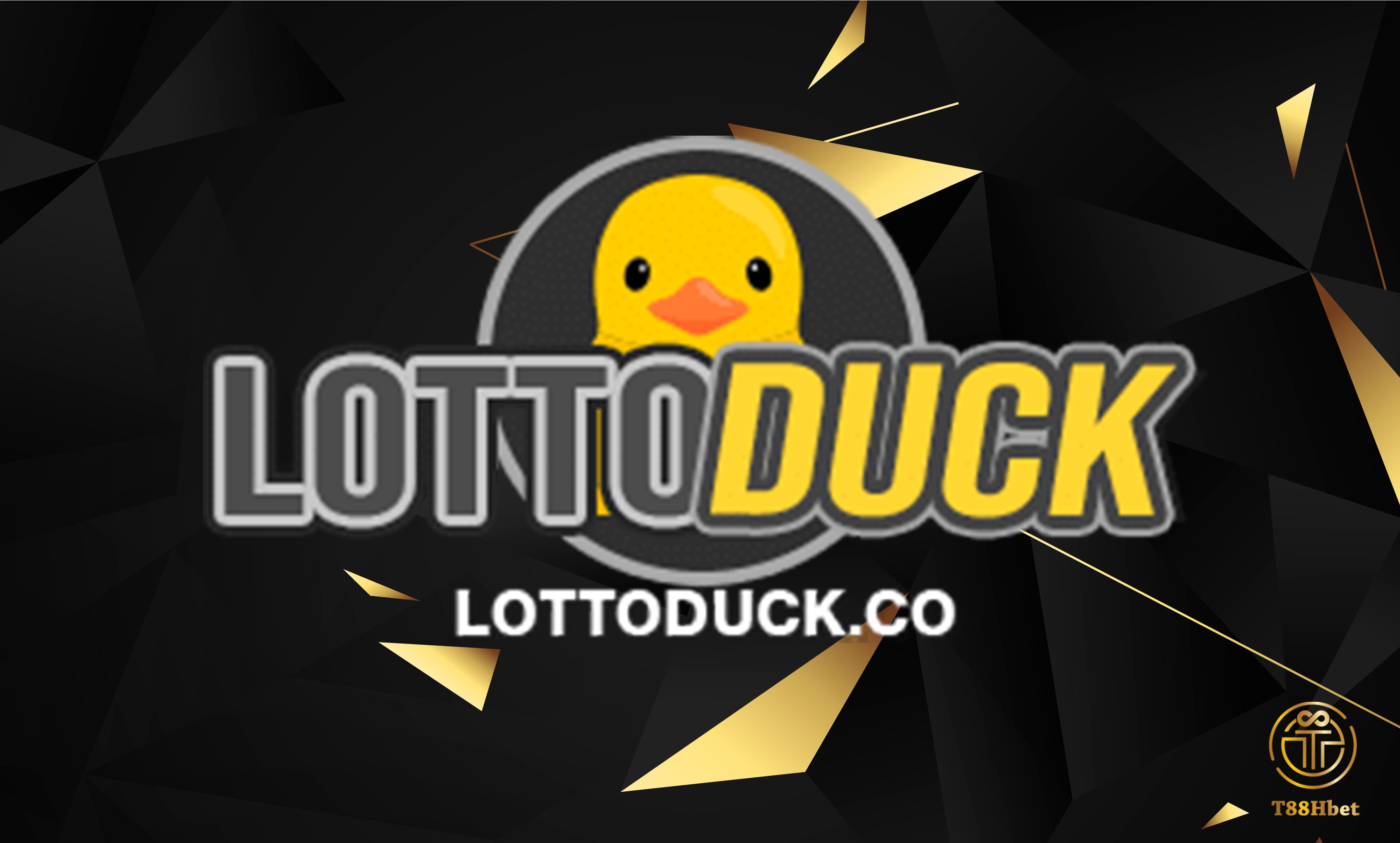 LOTTODUCK.CO เว็บบริการหวยออนไลน์จ่ายแพงแรงสุดในไทย