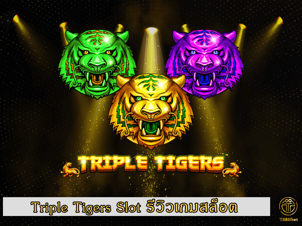 Triple Tigers Slot รีวิวเกมสล็อต | T88HBET 2021